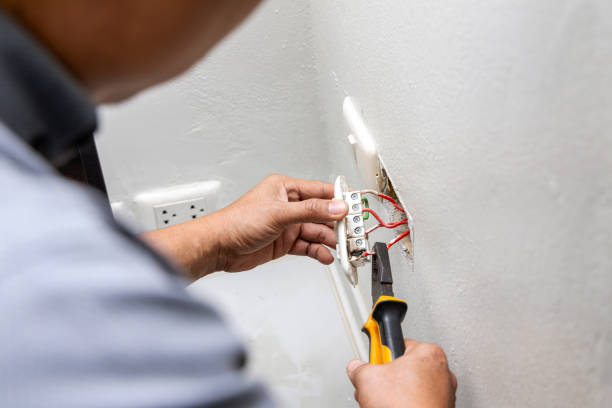 Best Local Electrician Companies  in Waverly, MI
