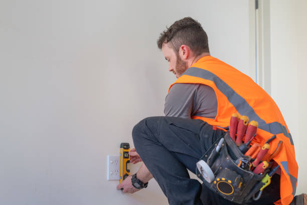 Best Licensed Electrician  in Waverly, MI