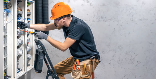 Best Affordable Electrician  in Waverly, MI