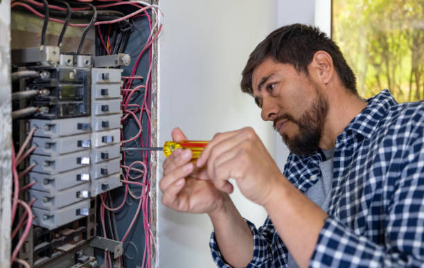Best Electrical Troubleshooting Services  in Waverly, MI